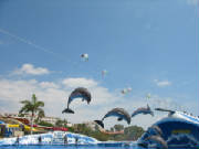 img_1072.jpg
